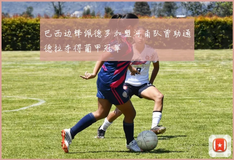 巴西边锋佩德罗加盟河南队曾助通德拉夺得葡甲冠军